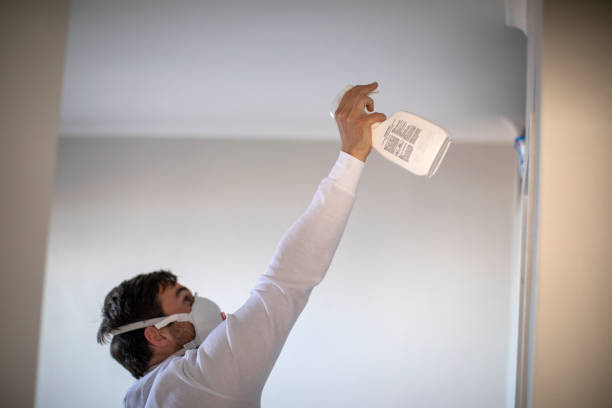 Best White Mold Remediation in Syracuse, IN
