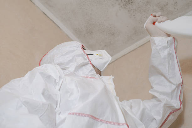 Best Post-Flood Mold Remediation in Syracuse, IN